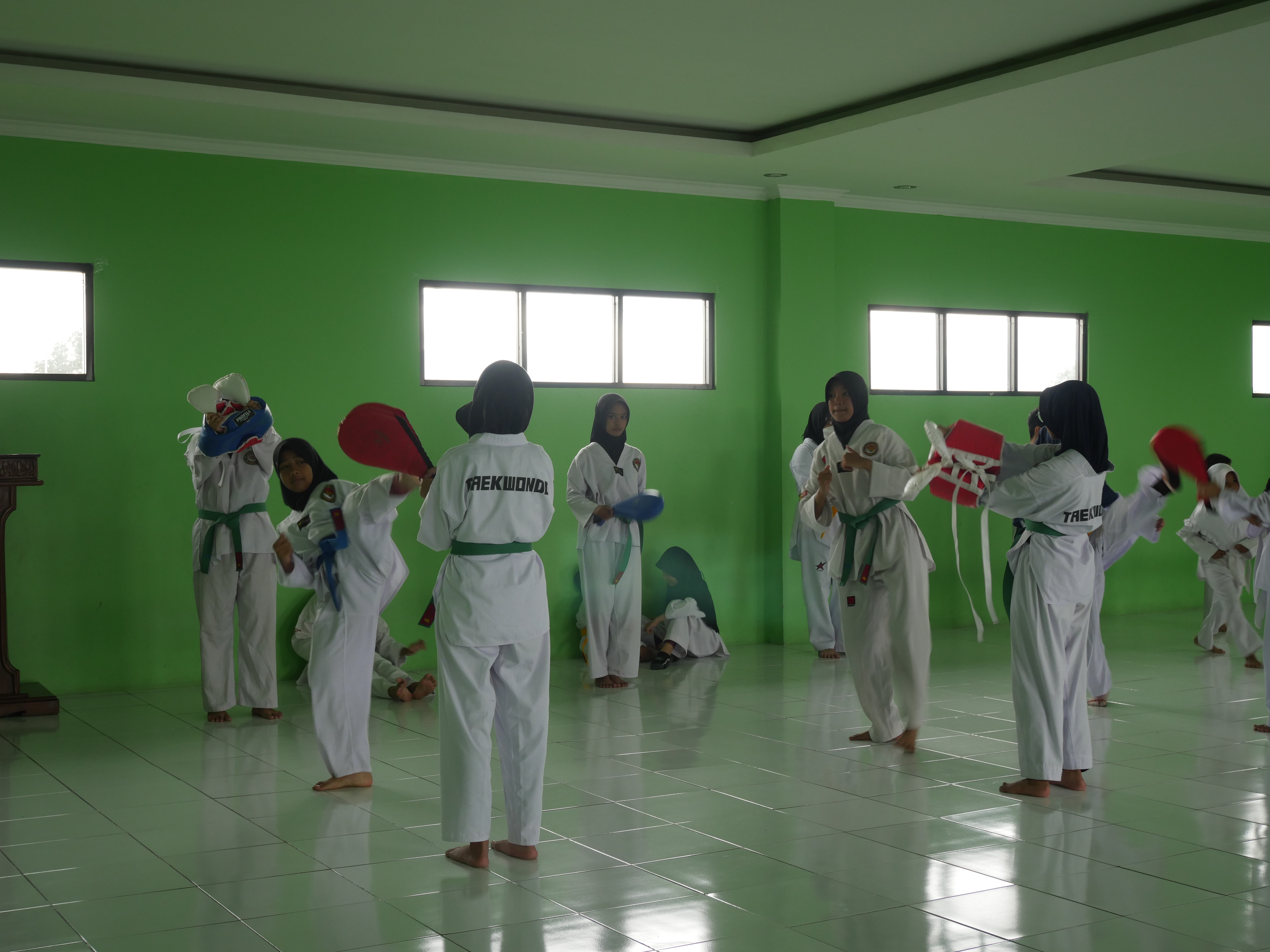 Taekwondo