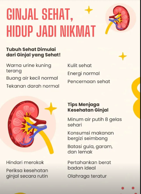 Tips Menjaga Kesehatan Ginjal Sejak Dini di Lingkungan SIT Qordova