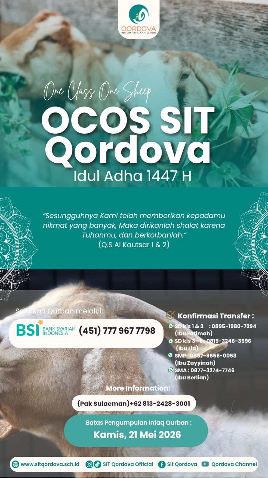 SIT Qordova Gelar Program OCOS: One Class One Sheep Sambut Idul Adha 1447 H